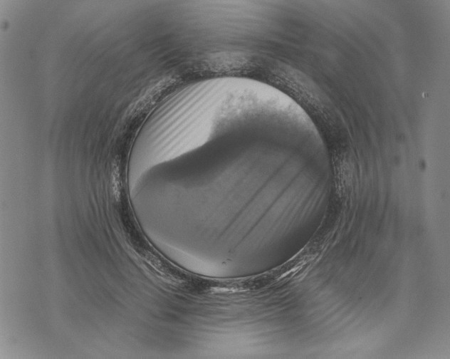 X0000070350644200606301807