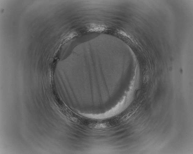 X0000070350647200606301807