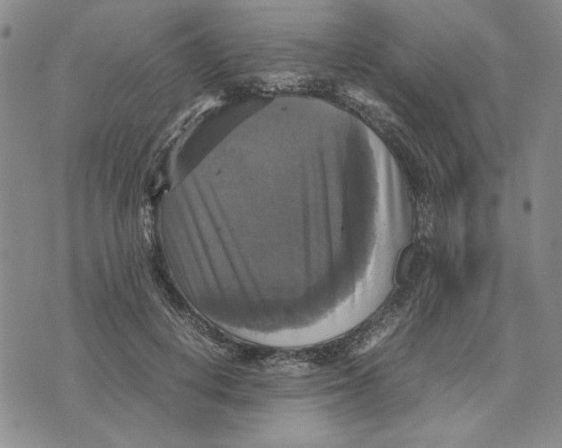 X0000070350648200606301807