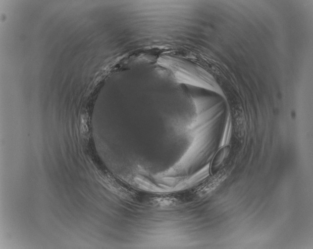 X0000070350654200606301807
