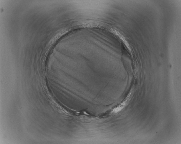 X0000070350673200606301806