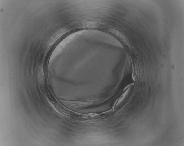 X0000070350674200606301806