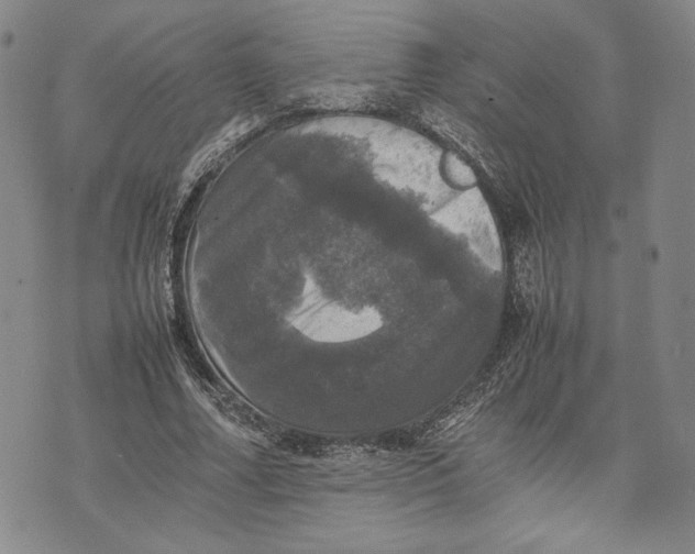 X0000070350682200606301806
