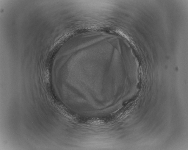 X0000070350689200606301806