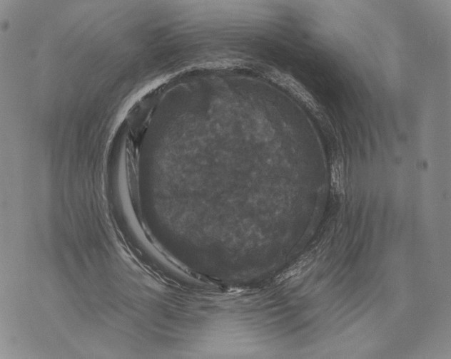 X0000070350724200606301805