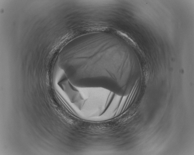 X0000070350729200606301805