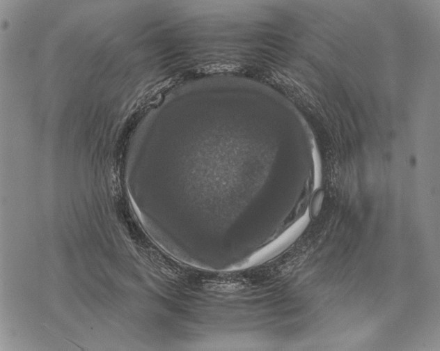 X0000070350743200606301805