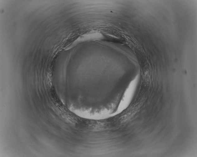 X0000070350772200606301805