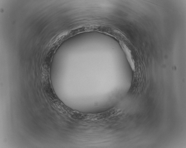 X0000070350773200606301805