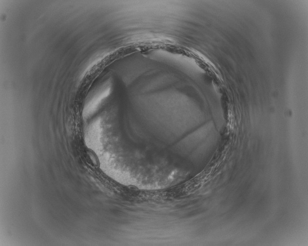 X0000070350775200606301805