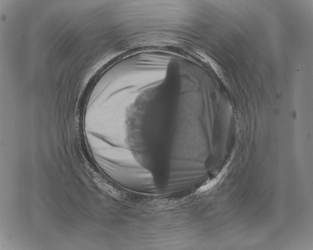 X0000070350779200606301805