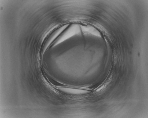 X0000070350798200606301804