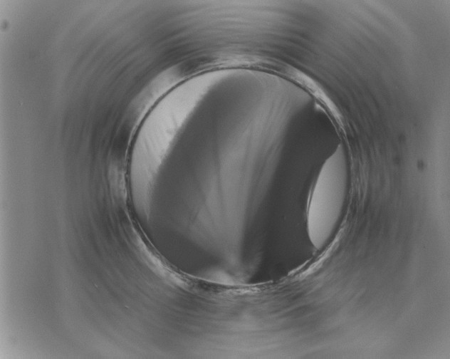 X0000070350810200606301804