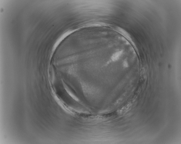 X0000070350811200606301804