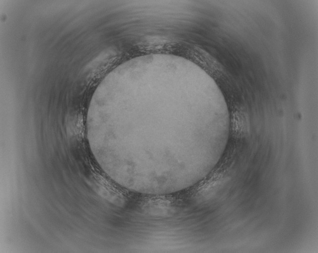 X0000070350820200606301803