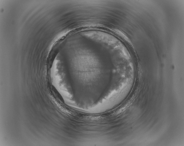 X0000070350831200606301803