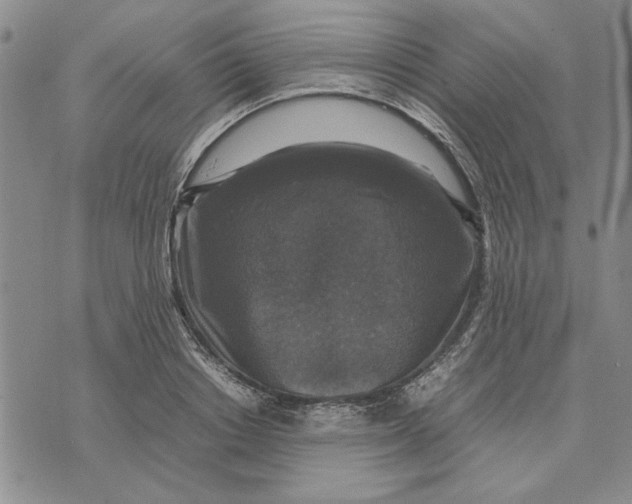 X0000070350842200606301804