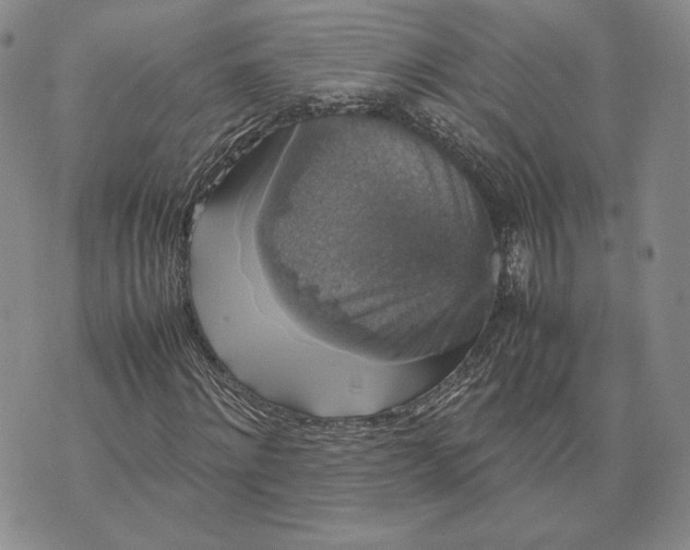 X0000070350868200606301803