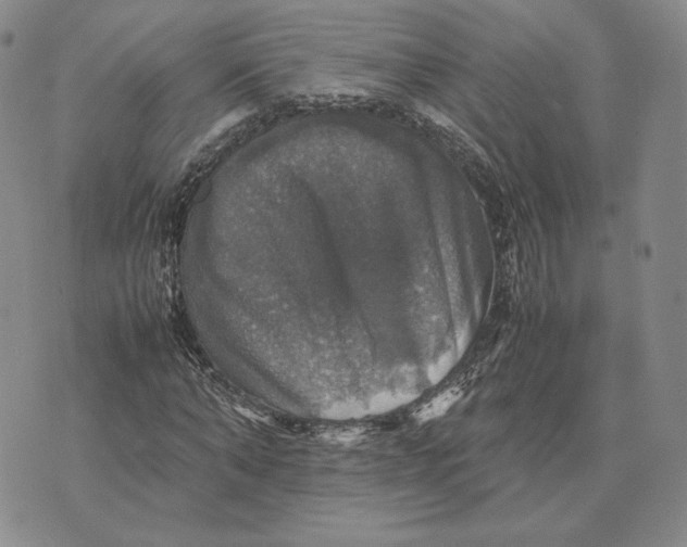 X0000070350870200606301803