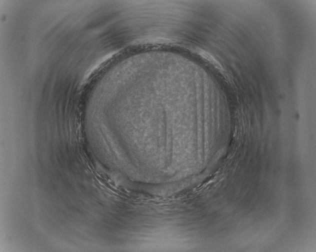 X0000070350872200606301803