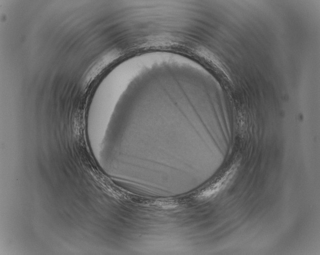 X0000070350874200606301803