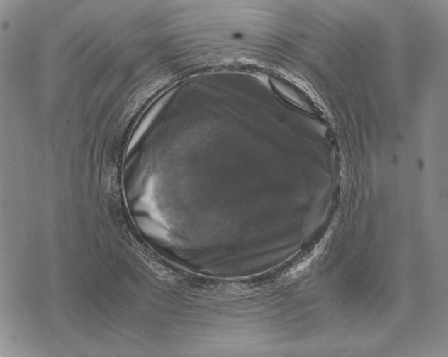 X0000070350881200606301803