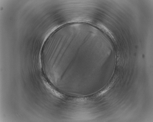 X0000070350892200606301803