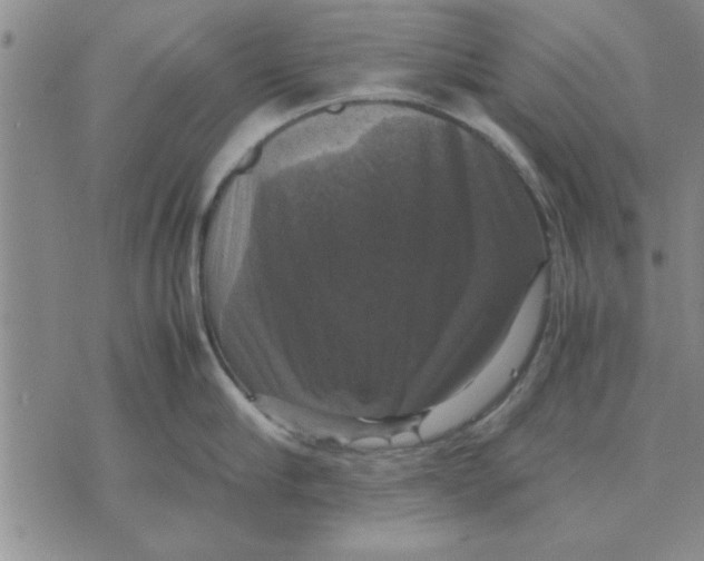 X0000070350910200606301802