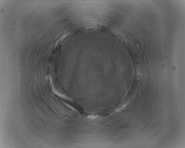 X0000070350916200606301802