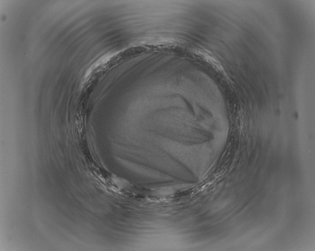 X0000070350920200606301802