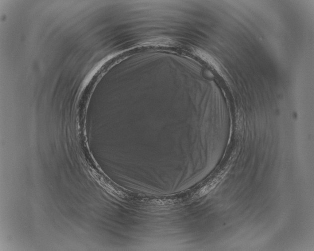 X0000070350923200606301802