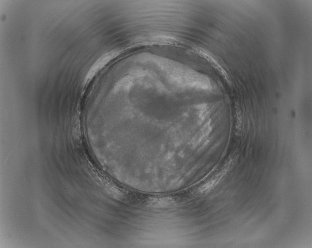 X0000070350978200606301801