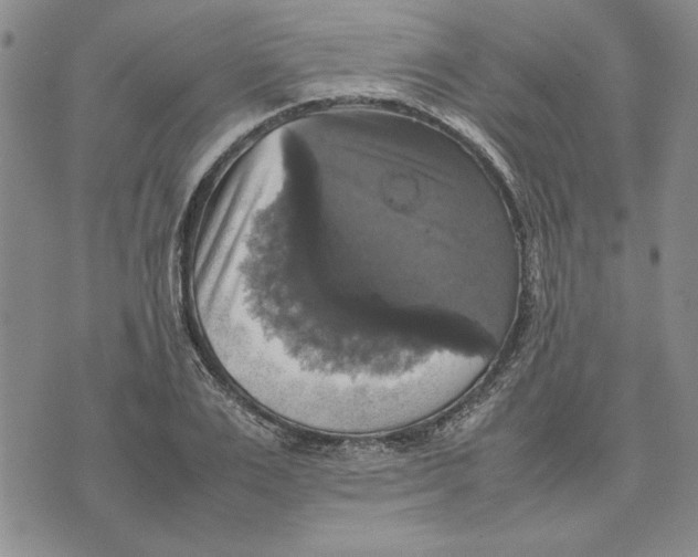 X0000070350983200606301801