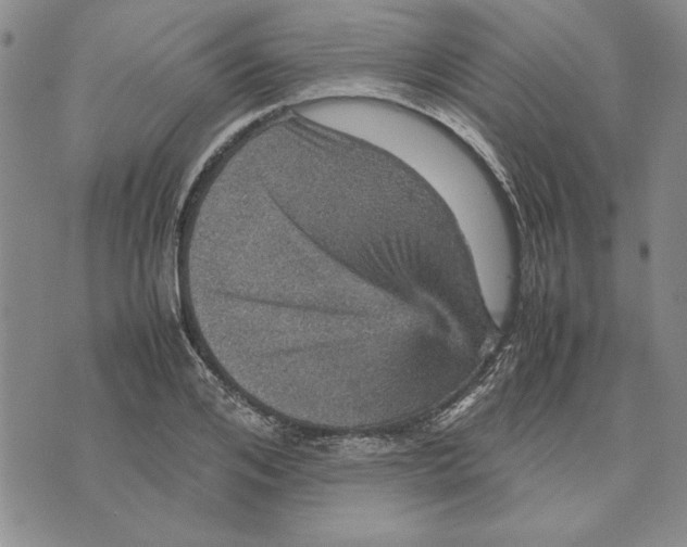 X0000070350984200606301801