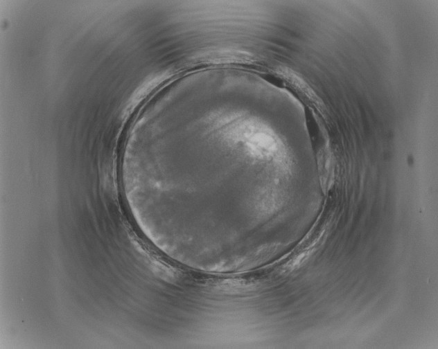 X0000070350986200606301801