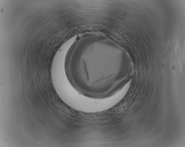 X0000070351010200606301800