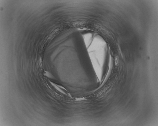 X0000070351011200606301800