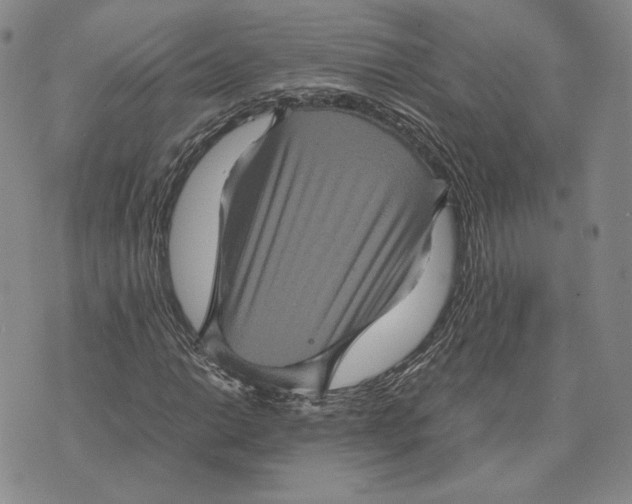 X0000070351014200606301800