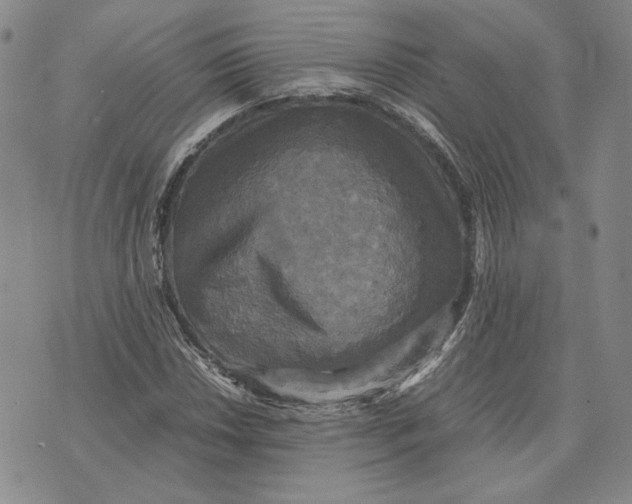 X0000070351018200606301800