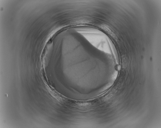 X0000070351031200606301800