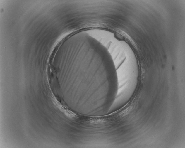 X0000070351035200606301800