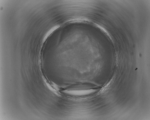 X0000070351042200606301801