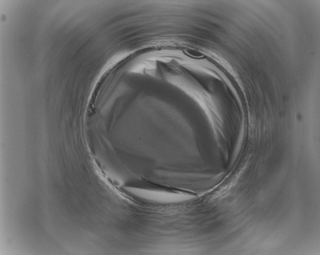 X0000070351045200606301801