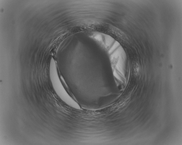 X0000070351060200606301800