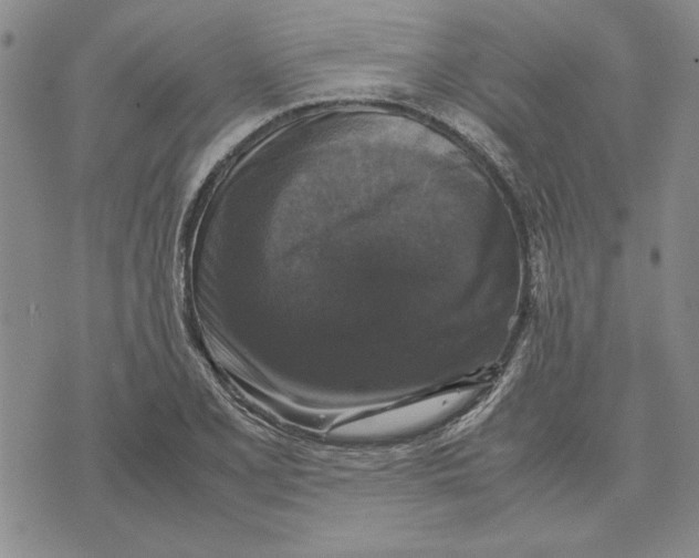 X0000070351077200606301800