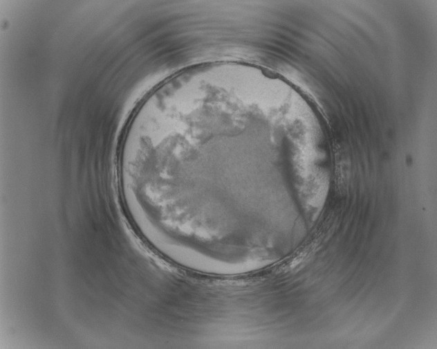 X0000070351088200606301759