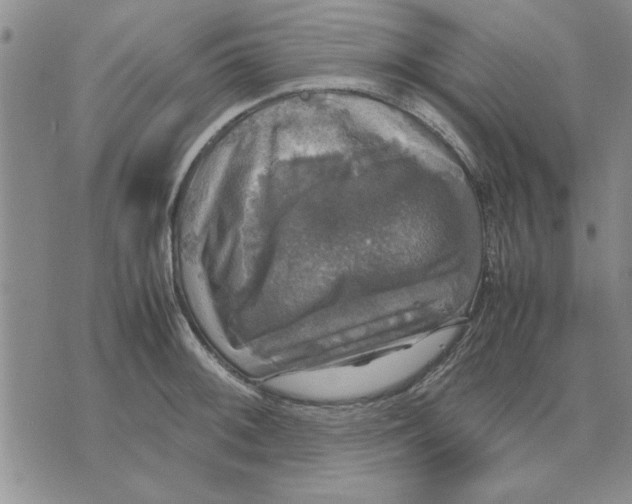 X0000070351092200606301759