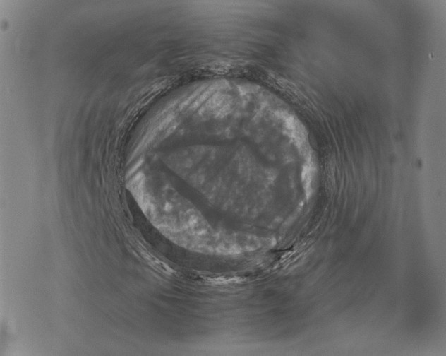 X0000070351105200606301758