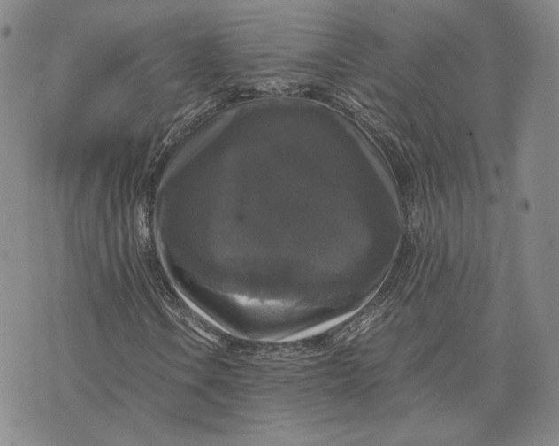 X0000070351106200606301758