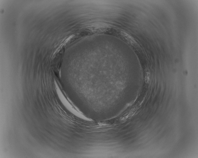 X0000070351108200606301758